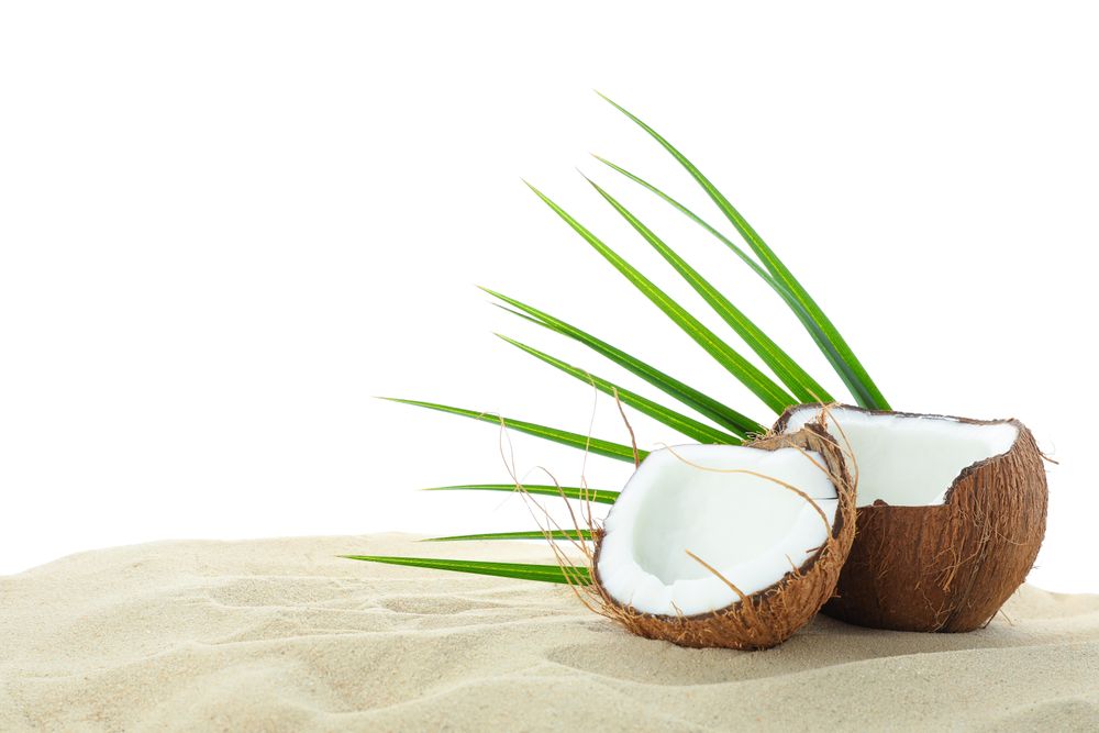 Coconuts and palm leaf on clear sea sand isolated on studio background. Summer vacation