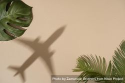 Flat lay of green leaves with shadow of airplane 0VEXjb