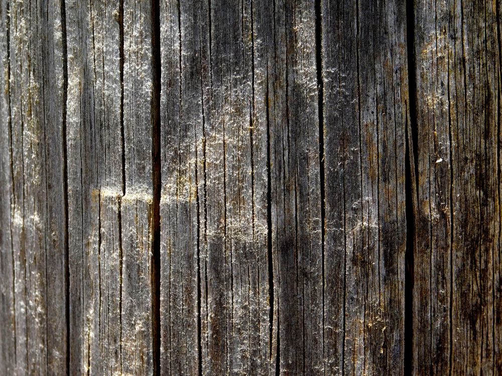Dark Wood Texture