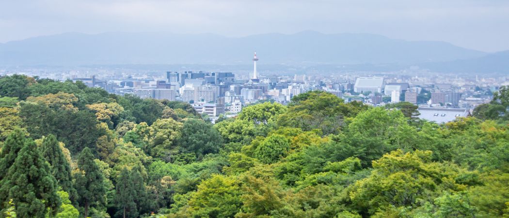 View of forest and modern city