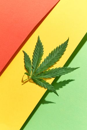 Cannabis leaf atop red, yellow and green paper
