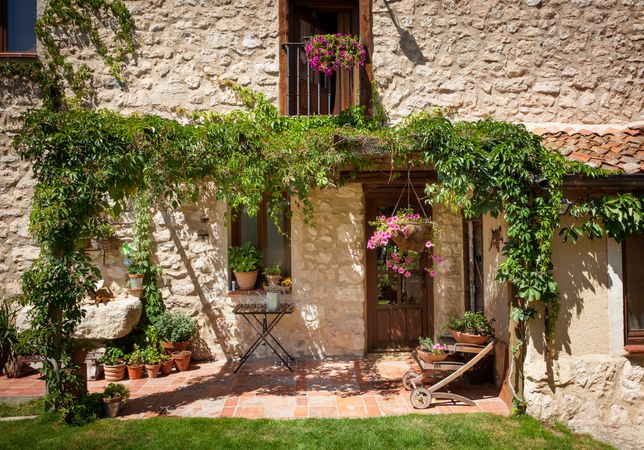Beautiful patio of house with green foliage