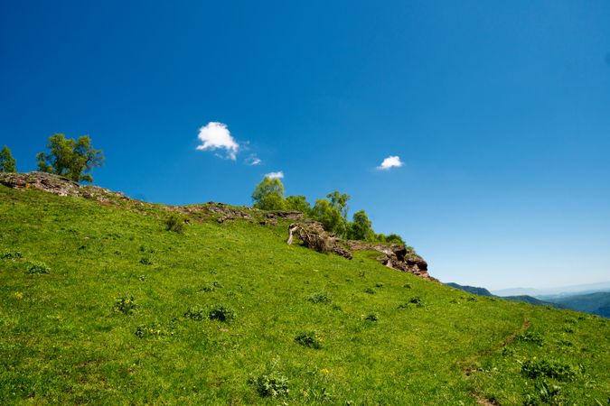 Green hillside under clear blue sky with scattered trees.
