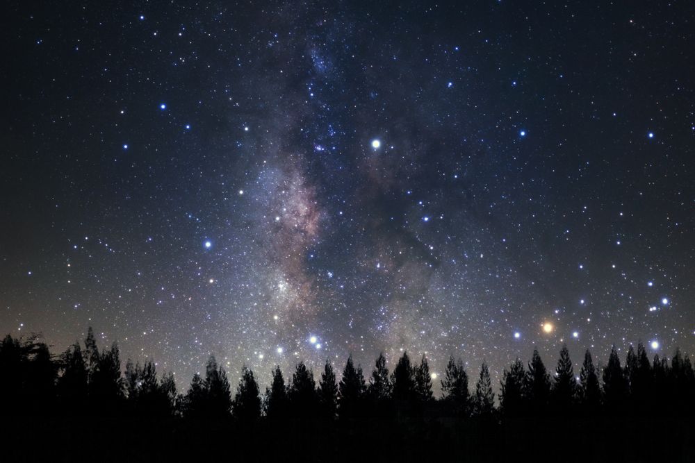Beautiful milkyway and silhouette of pine tree on a night sky before sunrise.