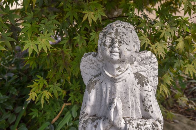 An old praying angel in a garden