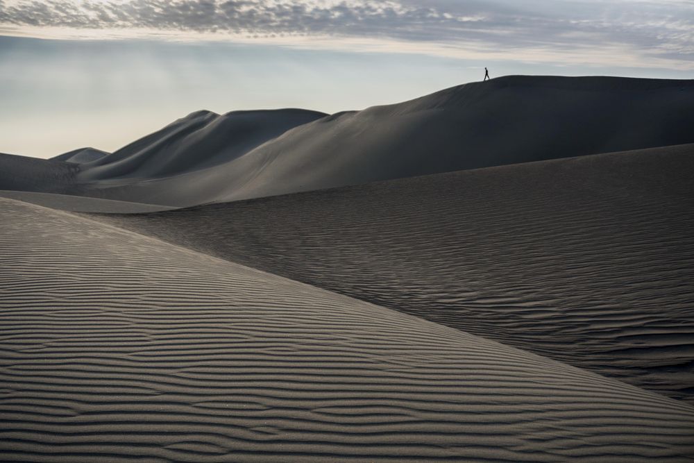 Grayscale photo of person standing in desert