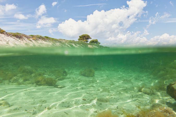 Stony island with bright greenery surrounded by water