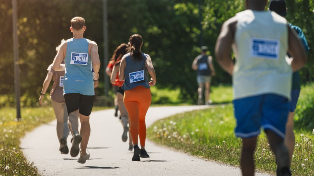 Wide Shot Back View of Diverse Marathon Participants Competing in a Race for the Finish Line:
