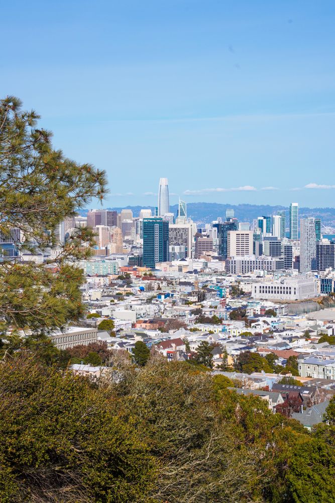 San Francisco City Skyline