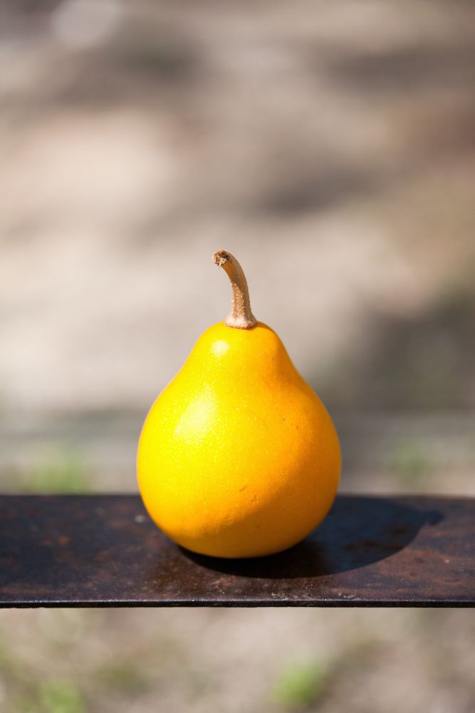 Small pear on a metal plate