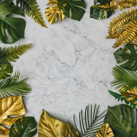 Green and gold leaves bordering marble background