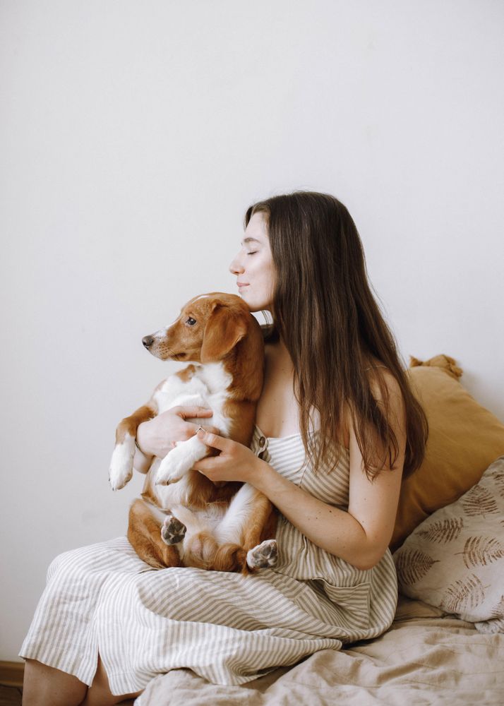 Woman holding beagle dog and sitting on couch