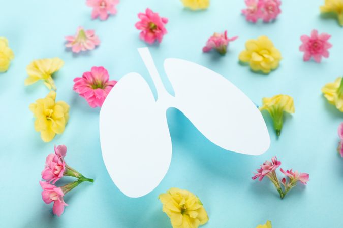 Lung cut out from paper on blue background surrounded by pink and yellow flowers