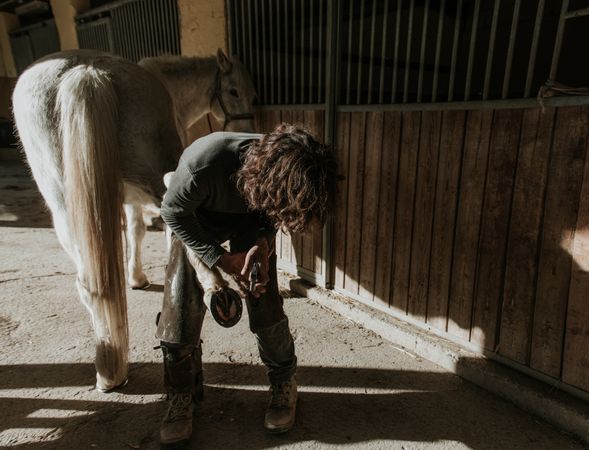 Man shoeing horse near stable