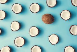 Coconut halves pattern on a pastel blue background