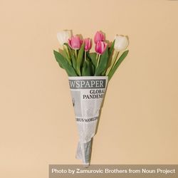 Spring tulips flowers wrapped in newspapers with Global Pandemic headline 56MVd0