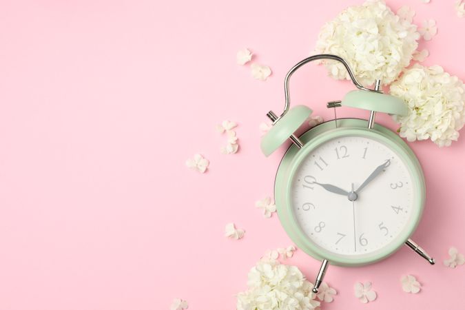 Alarm clock and beautiful hydrangea flowers on pink background