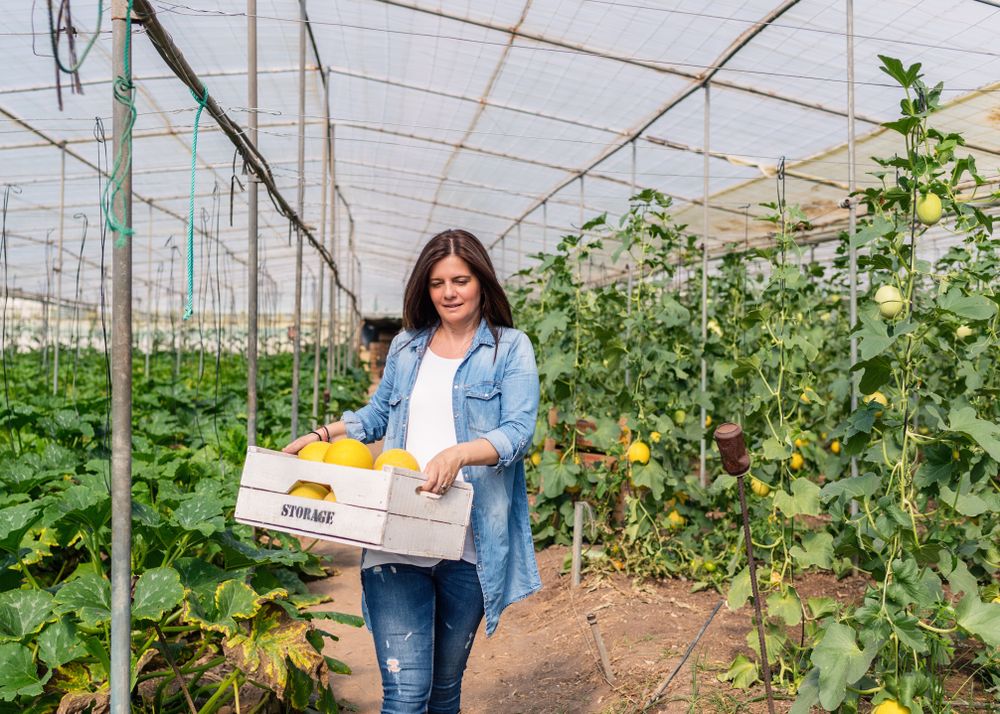 Smiling farmer carrying crate with crop in greenhouse