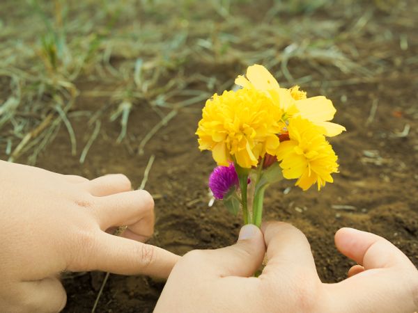 Child planting flowers