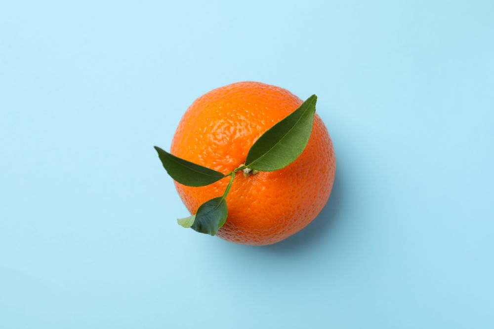 Ripe mandarin with leaves on blue background