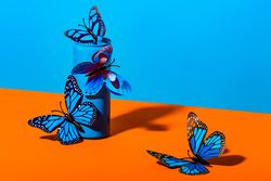 Plastic butterflies on metal blue can