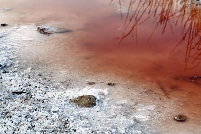 Crystals of salt on pink lake shore