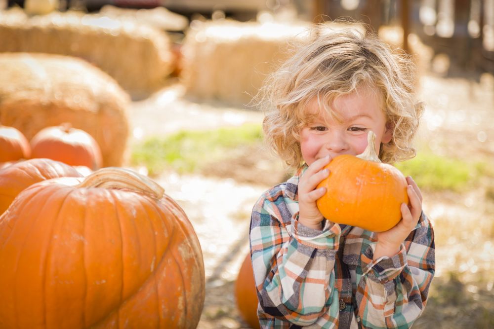 Child Sitting and Holding His Pumpkin Outside