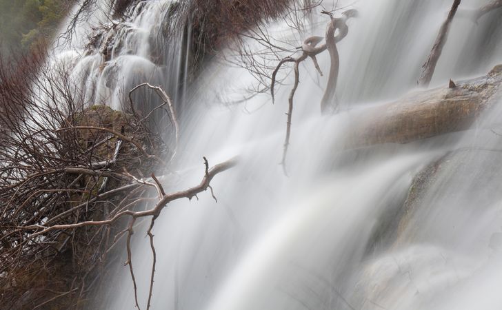 Wonderful waterfall near tree