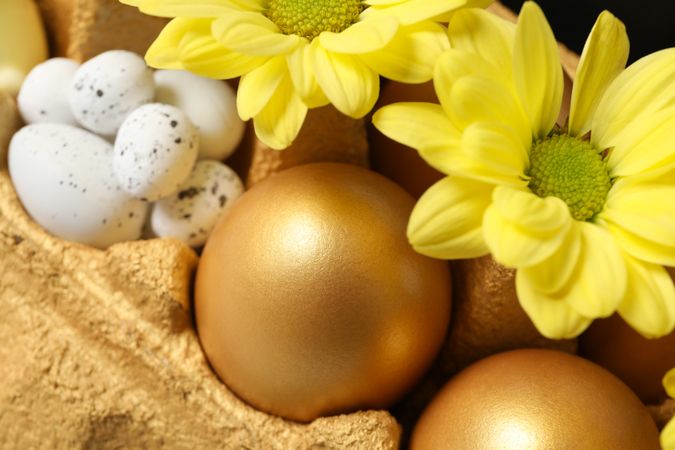 Concept of Richness and prosperity, golden eggs