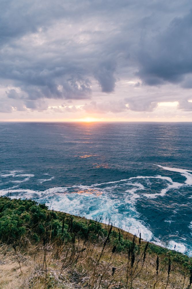 Grassy shore near stormy sea in evening