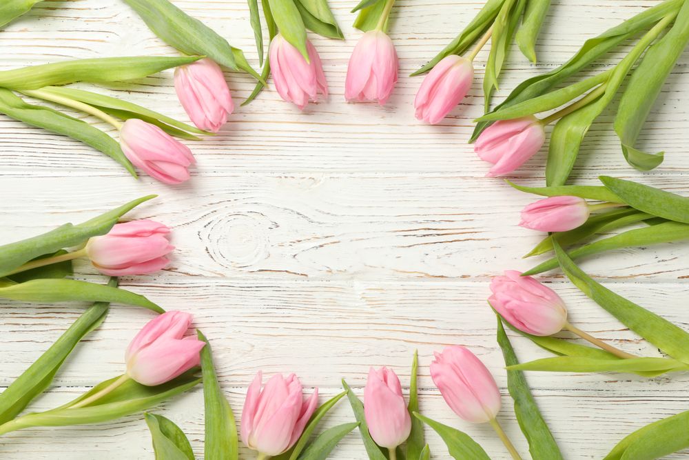 Beautiful tulips on wooden background, top view and space for text