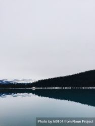 Trees lining Lake Louise in the Canadian Rockies 41Vz7b