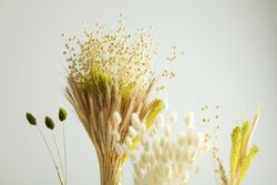 Tops of four varieties of dried flowers in grey room with copy space