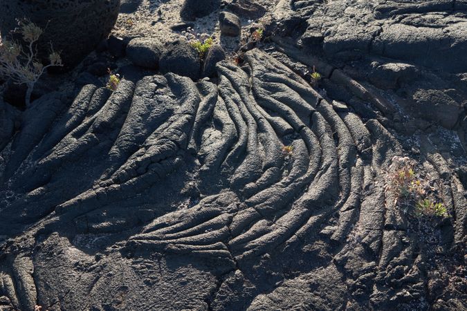 Texture of rough stone