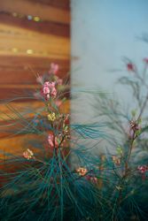 Pink blossom