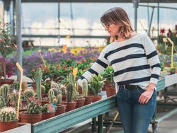 Female enjoying cactus plants on flower market