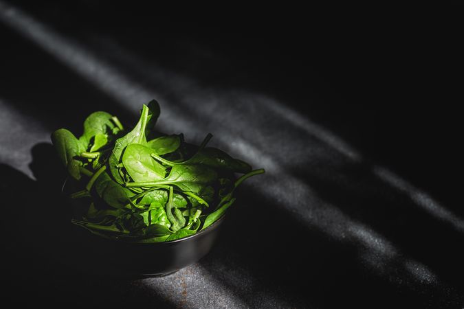 Fresh spinach on dark background