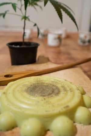 Close up of cannabis infused butter with plant in background