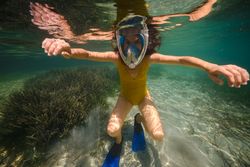 Unrecognizable adult in snorkeling mask in ocean