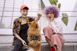 Women in colorful shirt and with pink hair training dog and having fun