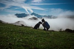 Adult tourist with dog against foggy valley under clear sky in summer