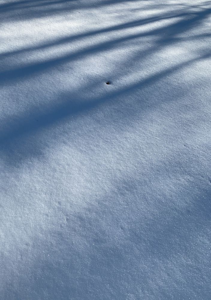 Shadows on snow