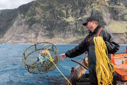 Fisherman collecting lobster fishing nets