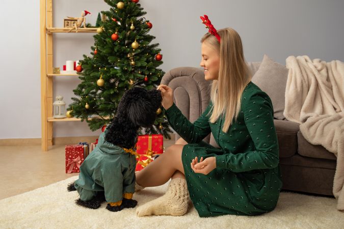 Concept of Merry Christmas, young woman and Toy poodle in Christmas decorated room
