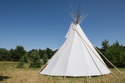 Traditional teepee among fir trees