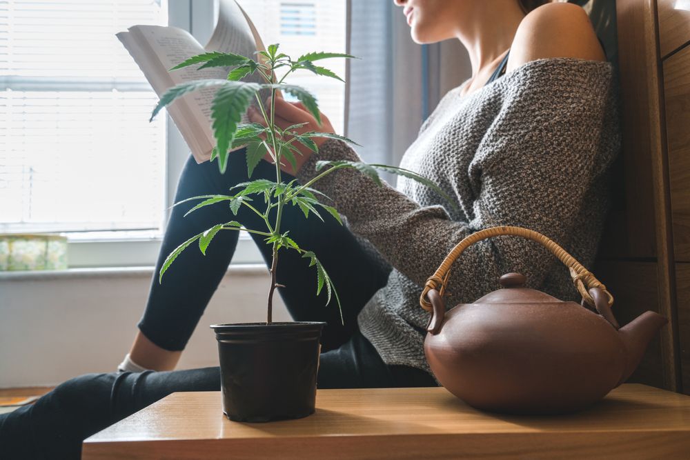 Female lounging with a book, tea and cannabis