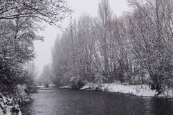 River streaming between snow forest