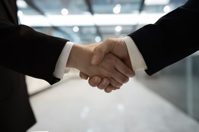 Business handshake sealing the deal