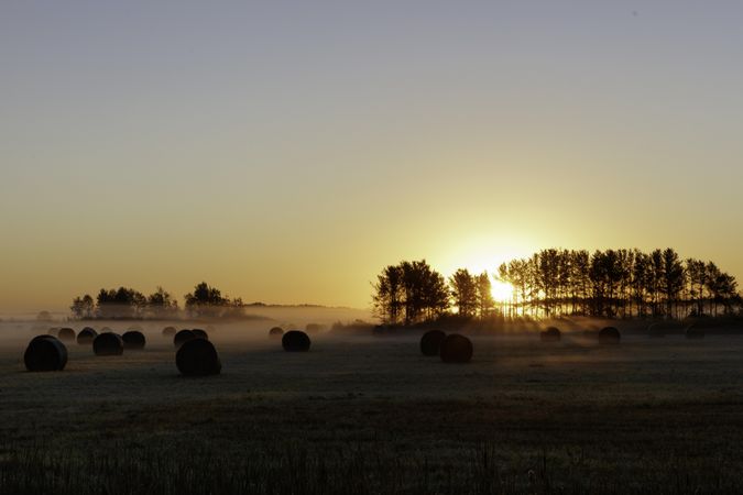 Hay rolls with morning fog and sunrise in McGregor, Minnesota