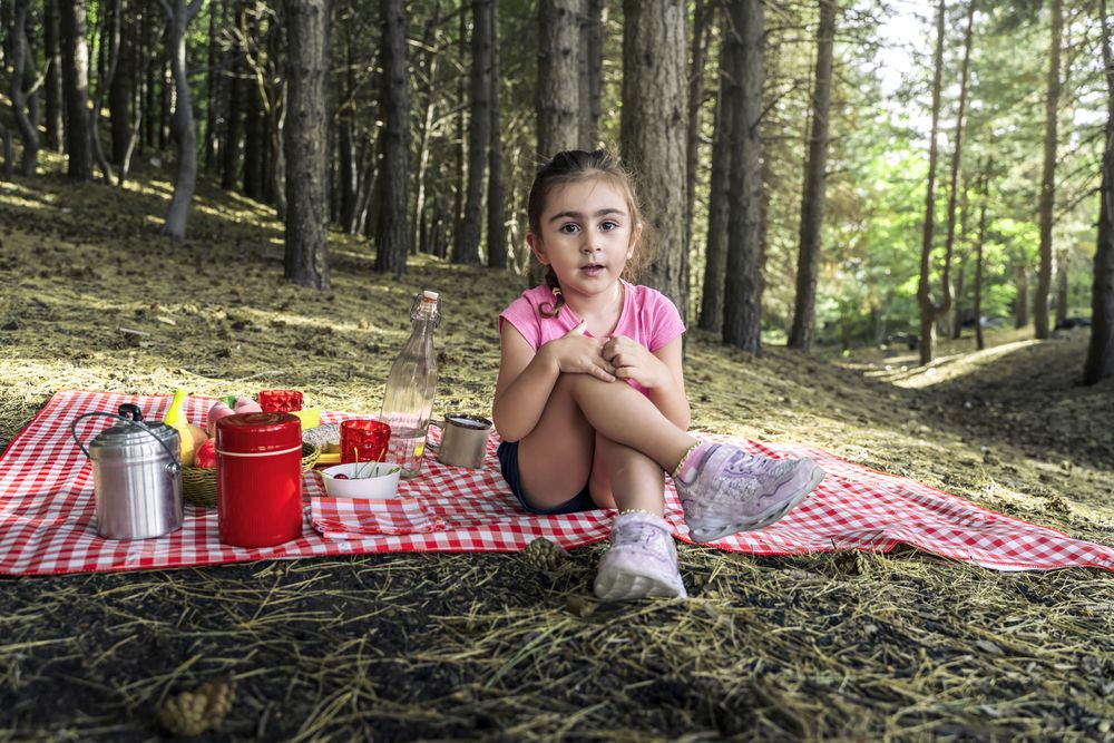 Portrait of a cute young girl sitting on a picnic blanket in a forest, looking at the camera.